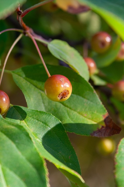 西媒：罗梅罗是马竞今夏引援目标，已与球员身边人士接触.