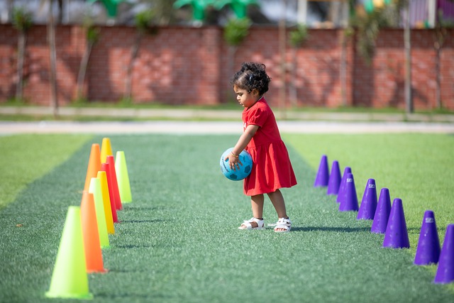 体战略调整 体战略调整