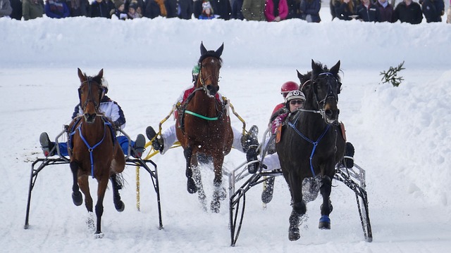 这场元旦长跑，跨越半个多世纪！.