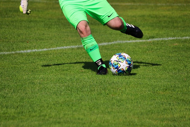 的猜测和批 的猜测和批