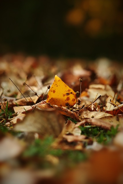 之间的公众 之间的公众