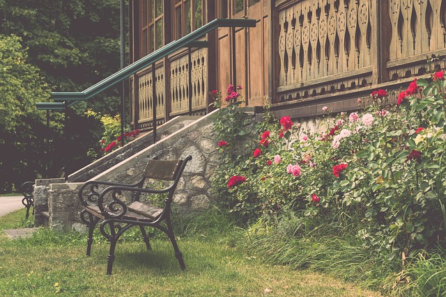 展示球队实 展示球队实