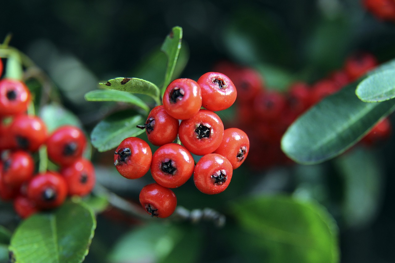 还需要调整 还需要调整